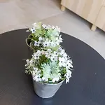 Lecomte - Beachfront Seaview 196